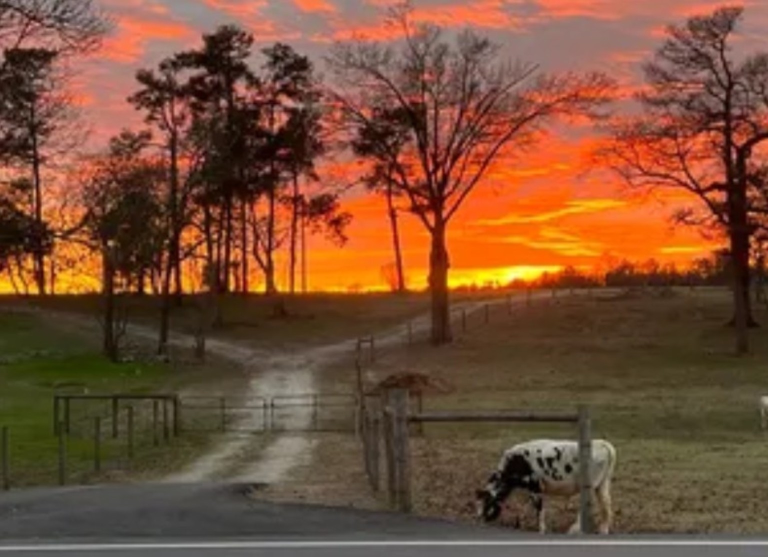 Sunset near Tavern Hill in Edgefield County